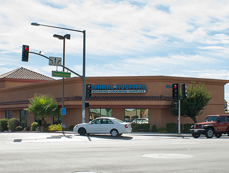 palm desert veterinarian