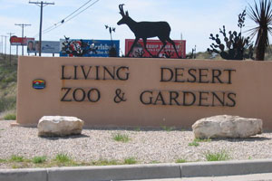 living desert museum